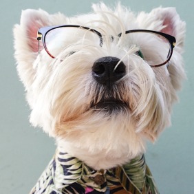 Writer: JTG Consulting Group