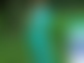 Perguntaram-me qual a minha cartela de coloração pessoal