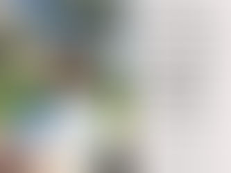 Não tenhas medo de ir devagar, tem apenas de não ir