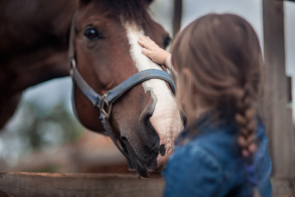 AdobeStock_136062579.jpeg