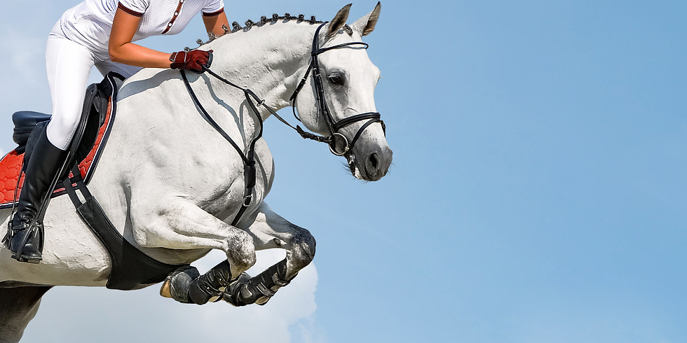 Concours CSO Etrier