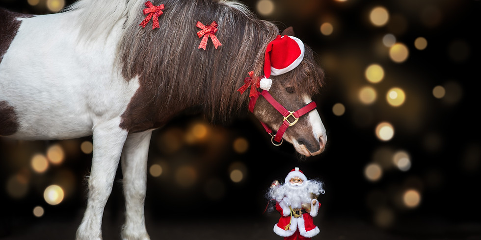 Noël de l'Etrier Agenais : Les Poneys font leur show !