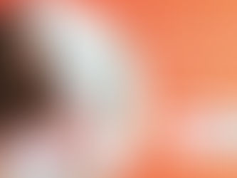 Guia de orientação rápida: como se preparar para a prova SIELE