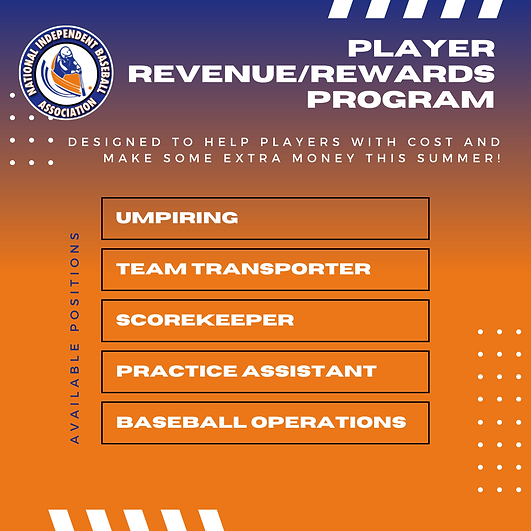 Player RevenueRewards Program (2).png