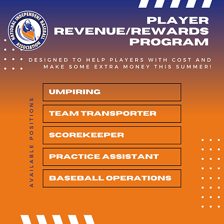 Player RevenueRewards Program (2).png