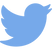 twitter (1).png