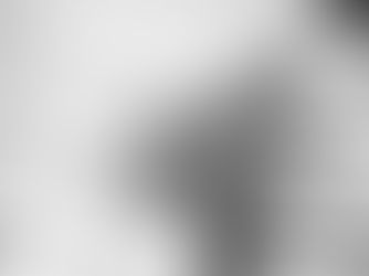 residential quantity surveyor