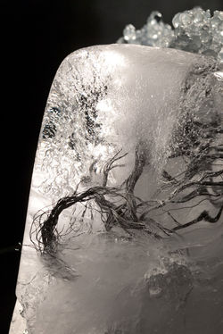 fabrice engelspach sculptures-1270362.jpg