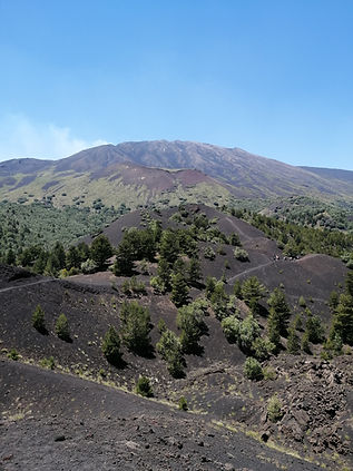 etna sartorius.jpg