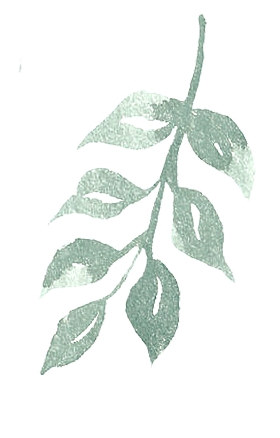 les-feuilles-des-arbres-dessines-a-la-main-l-illustration-a-l-aquarelle-raster-design-flor