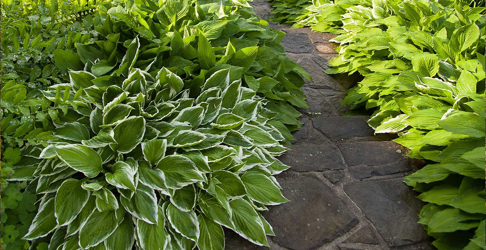 landscape-bed-installation-wisconsin.jpg