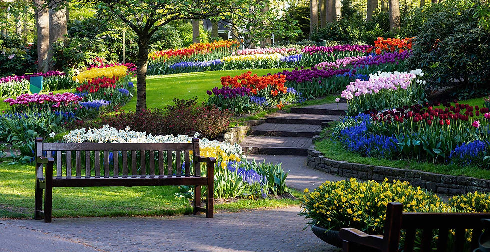 park-landscape-design-minisota.jpg