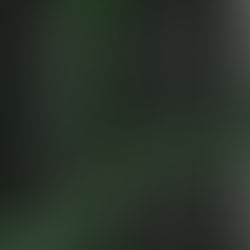 4 Things you Need to Know to Come out Ahead in 2022                    