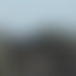 The Free World Responds to Russia's Ukraine Invasion 