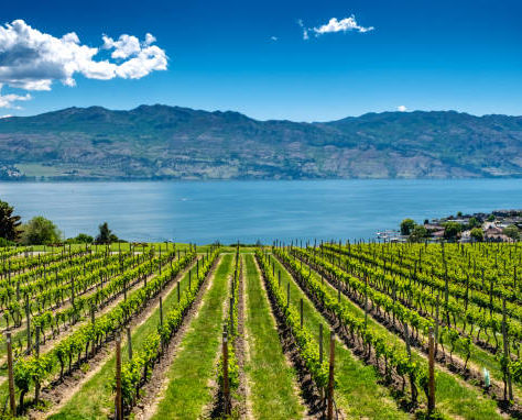 Why Work At TerraSense?