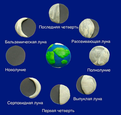 Фазы луны