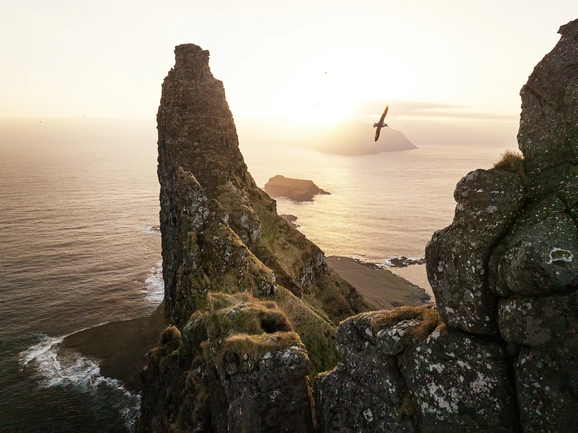 Sonnenuntergang über einer dramatischen Felsformation auf den Färöer-Inseln. Ein Vogel gleitet durch die warme Lichtstimmung über dem Atlantik.