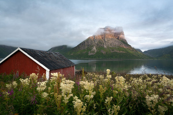Friedliche Stimmung mit rotem Fischerhäuschen in Norwegen