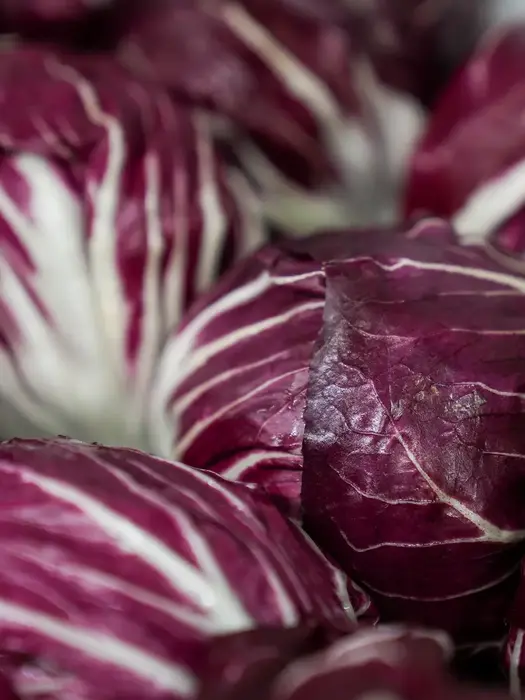 Radicchio 