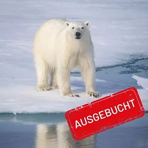 Fotoreise_Spitzbergen_Teaser_ausgebucht.webp