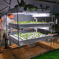 מחקר ופיתוח