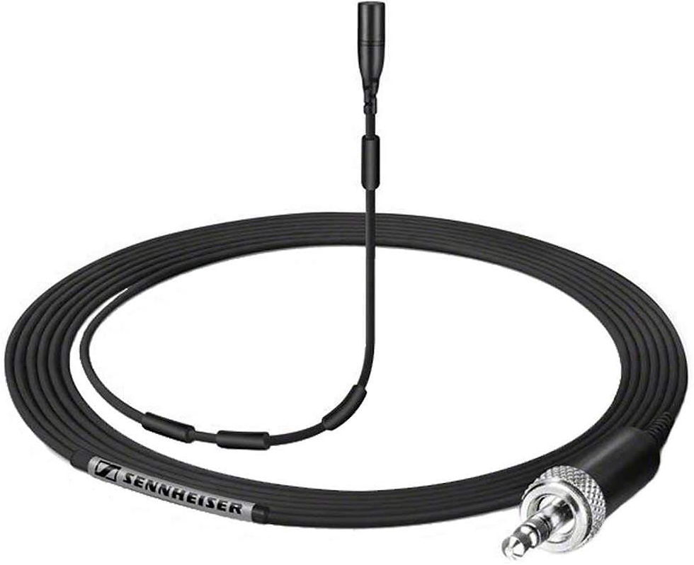 Miniatura: Micrófono Sennheiser AVX