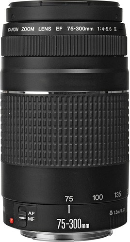 G 1269 Canon zoom Lens EF 75-300mm 1:4-5.6 Ⅱ Lente Canon EF 75-
