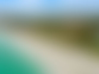 Sarasota waterfront home undergoing pre-sale renovation with owner’s representative