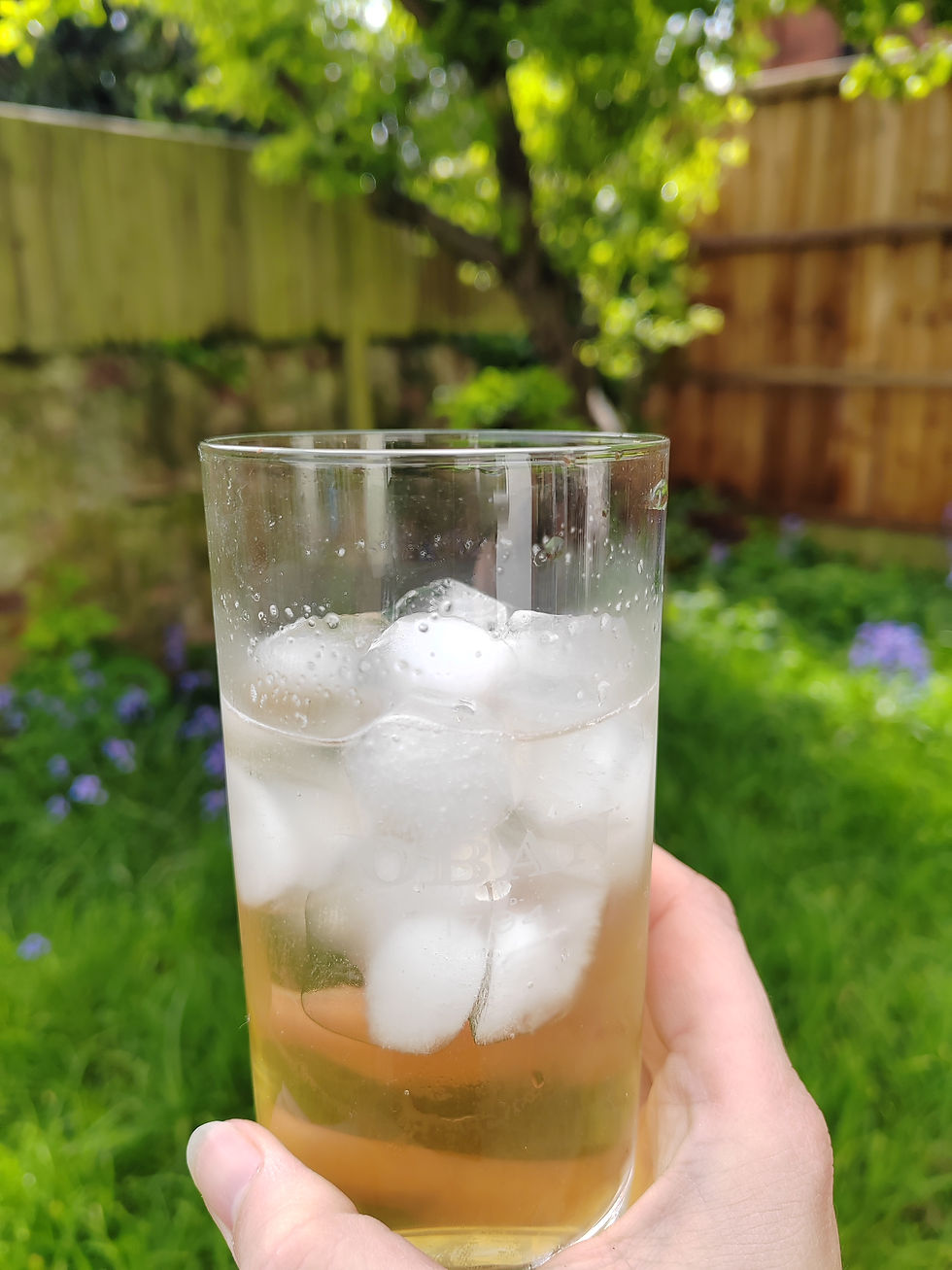 the Choya Single Year Umeshu review