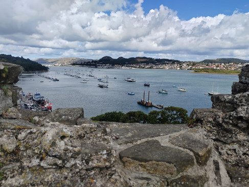 view from conwy castle