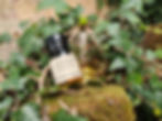 Monkey Shoulder - Whisky Review