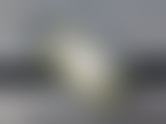 Kenbishi Kuromatsu - Sake Review