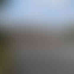 East Gardens of the Imperial Palace