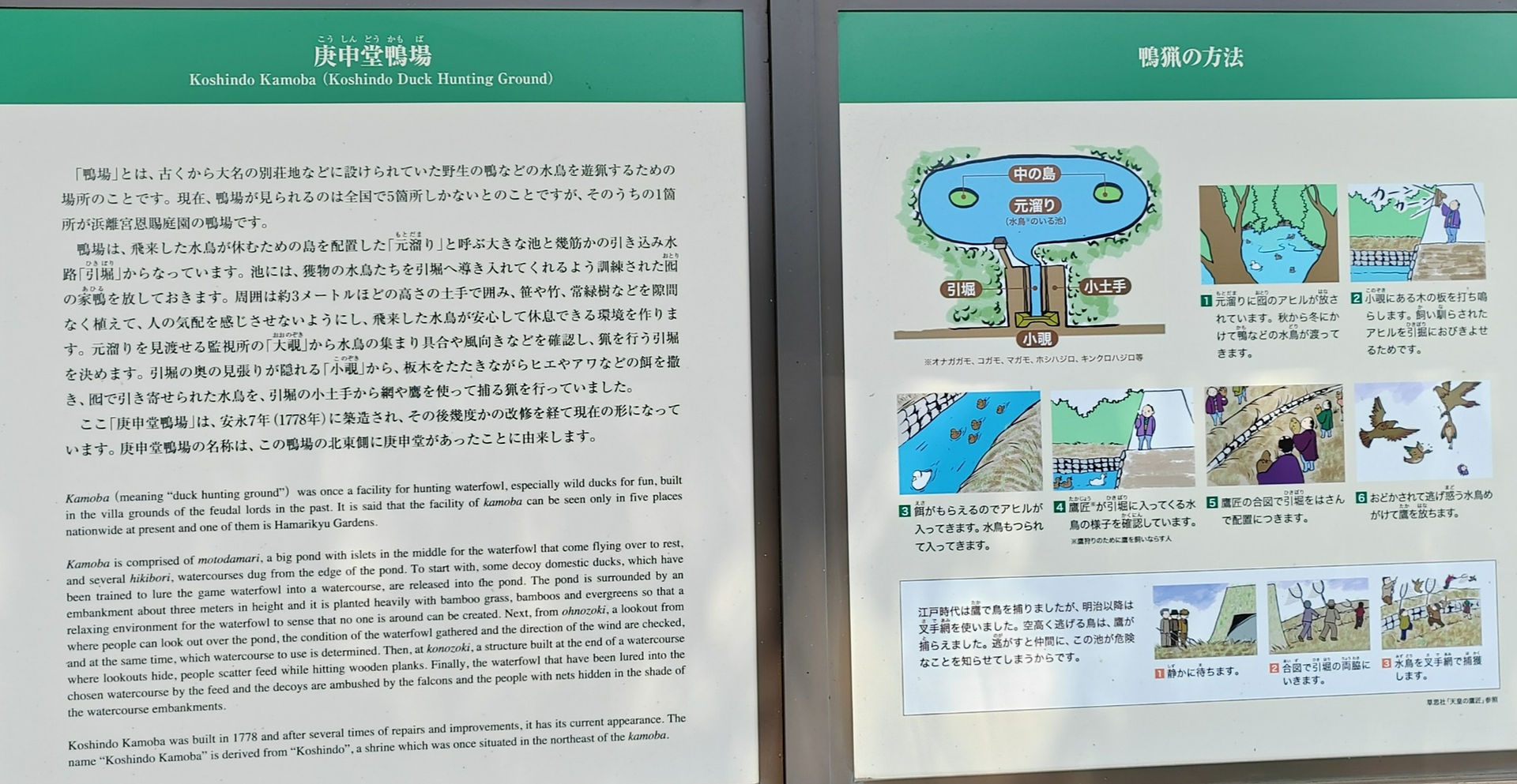 Hama-rikyu Gardens, Tokyo