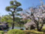 Honmaru Garden, Nijo Castle, Kyoto