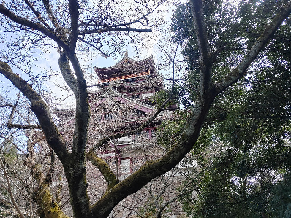 Wide-angle view of the large and small concrete replica keeps of Fushimi-Momoyama Castle under a blue sky.
