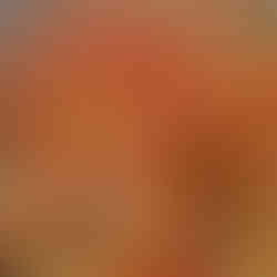 Yellow Beans with Tomato, Garlic and Herbs