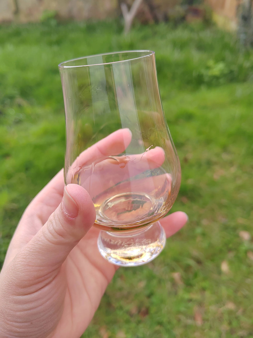 The Choya Single Year Umeshu