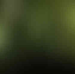 Kodai-ji Temple, Kyoto