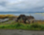 mull boat wrecks