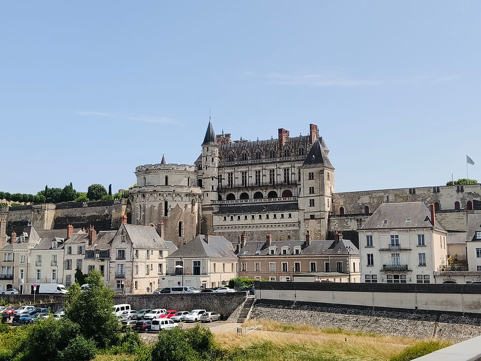 Panoramic view of Château Royal d’Amboise towering on the cliff edge above the town rooftops and river embankment.