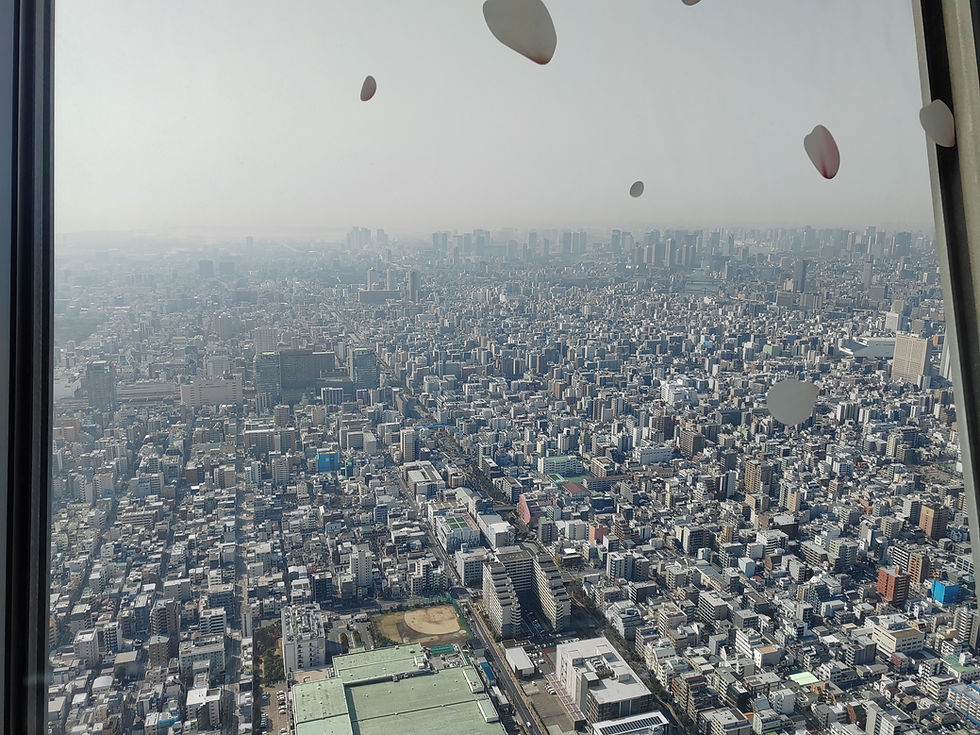 High-altitude panoramic view of the dense Tokyo urban landscape and city grid from the Tokyo Skytree windows.