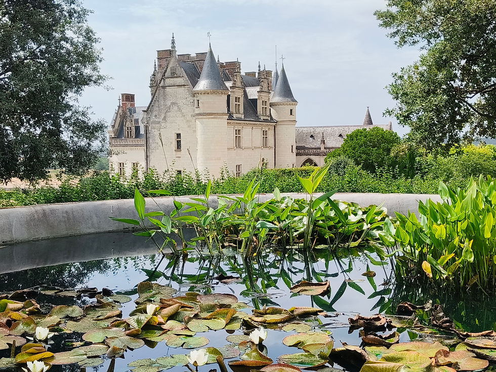 View of Château d'Amboise turret framed across a tranquil garden pond filled with floating water lilies.