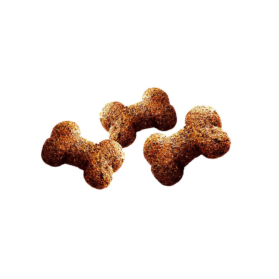 Прев'ю: Ласощі для собак Brit Care Dog Crunchy Cracker Insects для травлення, комахи, ягня і малина, 200 г