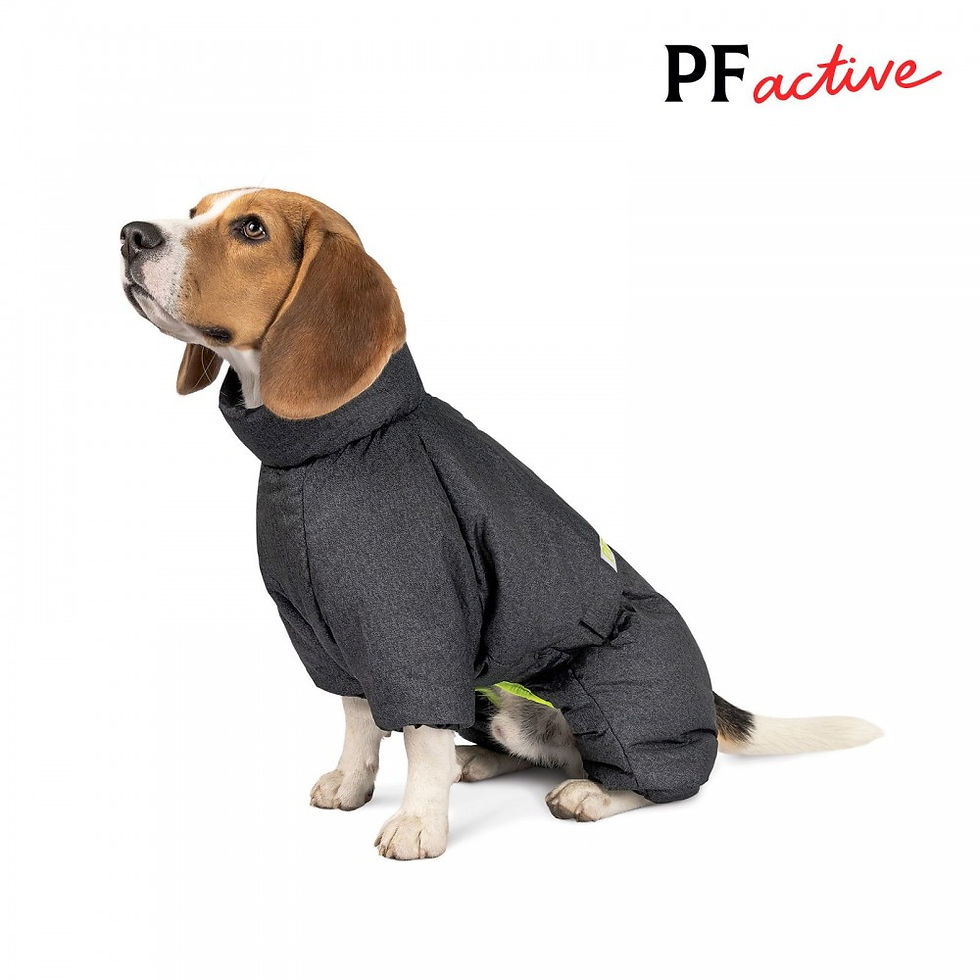 Прев'ю: Комбінезон Pet Fashion «Cold» для собак розмір M-L сірий