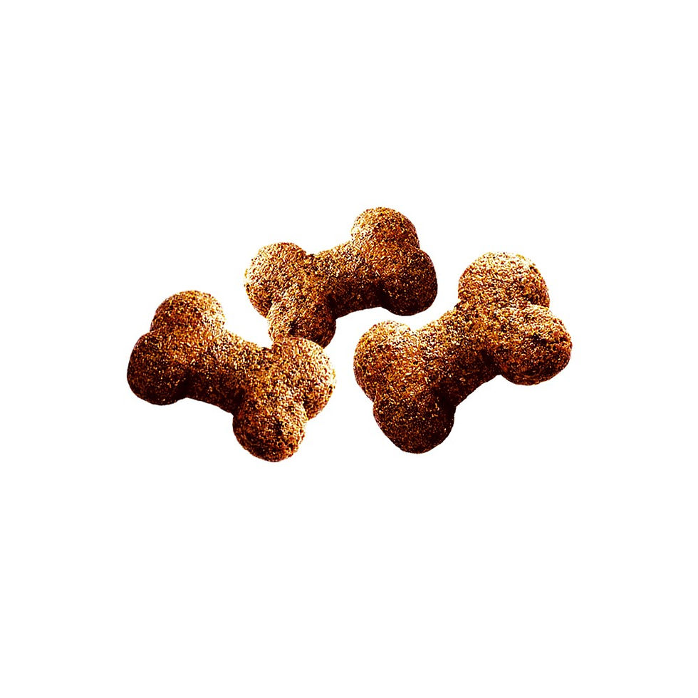 Прев'ю: Ласощі для собак Brit Care Dog Crunchy Cracker Insects для імунітету, комахи, кролик і фенхель, 200 г
