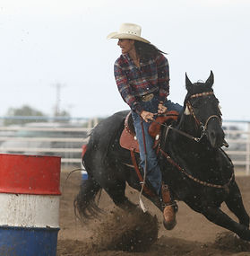 Quinn Green Photography of the 2006 Rex Allen Days Rodeo