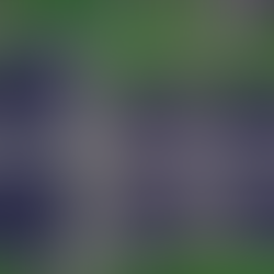 Wastewater treatment ponds from above