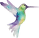 Hummingbird home renovations and design logo