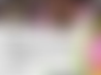 2019/3/10(日) 静岡 浜松 舘山寺